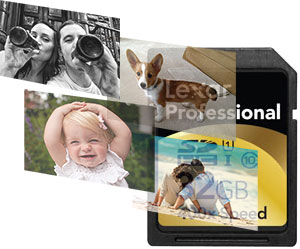 Lexar SDHC card Photo Recovery