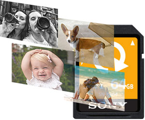 Sony SDXC card Photo Recovery