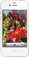 Apple iPhone4S Photo Recovery